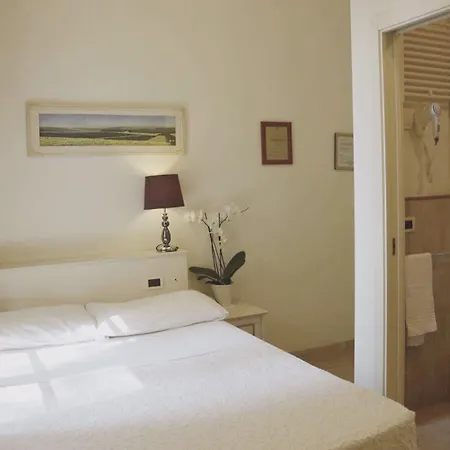 维斯卡尔多酒店 4*